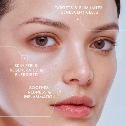 Expert Active Renew Cream