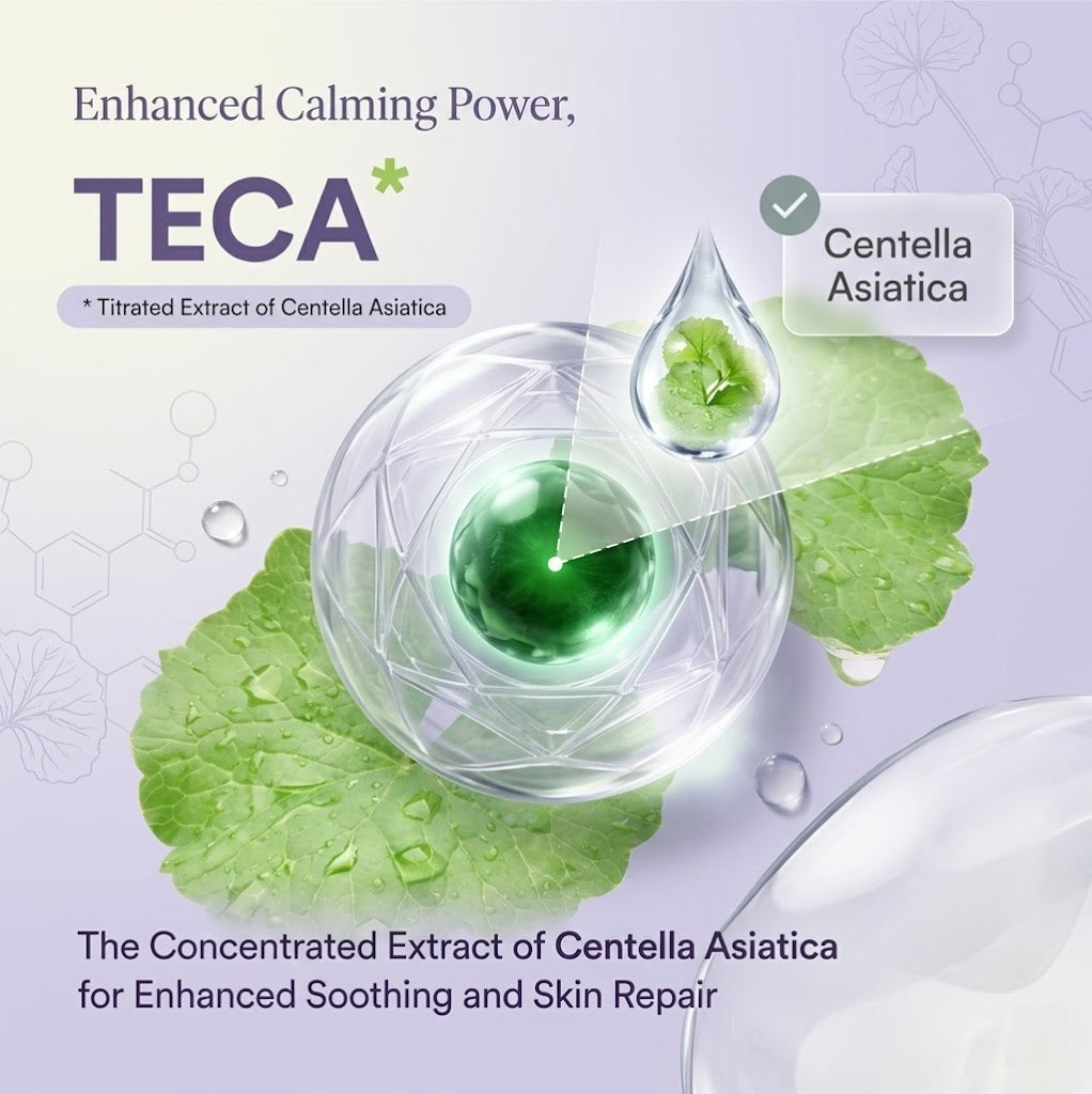 The Madeca Protocol